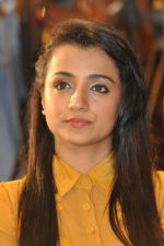 Trisha (23)_5562ef99be7ab.jpg