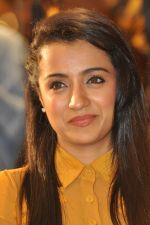 Trisha (26)_5562ef9d828a2.jpg