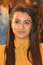 Trisha (33)_5562efa561c42.jpg