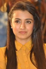 Trisha (35)_5562efa7d1c8b.jpg