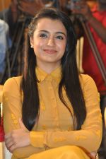 Trisha (39)_5562efac35bc3.jpg