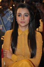 Trisha (44)_5562efb2aa145.jpg