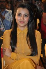 Trisha (49)_5562efb89b4a2.jpg