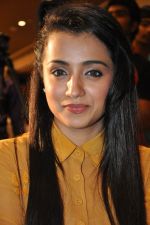 Trisha (5)_5562ef83b42af.jpg