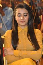 Trisha (53)_5562efc00dbd1.jpg