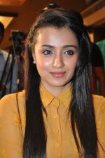 Trisha (6)_5562ef84d49a4.jpg