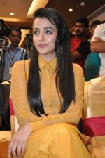 Trisha (73)_5562efd6c206d.jpg