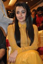 Trisha (77)_5562efdb0a42d.jpg