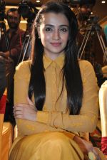 Trisha (83)_5562efe149ce6.jpg