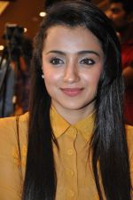 Trisha (9)_5562ef88617df.jpg