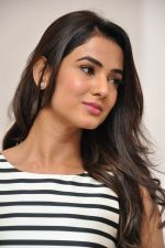 Sonal Chauhan Photoshoot on 26th May 2015(100)_5565b00bae0f1.jpg