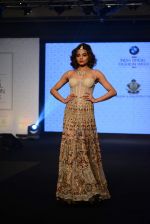 Model walks for bmw india bridal week preview in delhi on 28th May 2015 (1027)_55684a227ef59.JPG