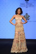 Model walks for bmw india bridal week preview in delhi on 28th May 2015 (1035)_55684a2a46b58.JPG