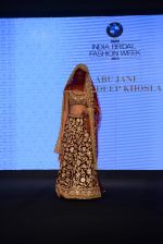Model walks for bmw india bridal week preview in delhi on 28th May 2015 (1095)_55684a5ac6f95.JPG