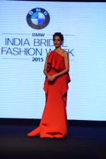 Model walks for bmw india bridal week preview in delhi on 28th May 2015 (1225)_55684ad12850c.JPG