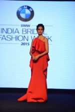Model walks for bmw india bridal week preview in delhi on 28th May 2015 (1227)_55684ad3e6224.JPG