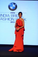 Model walks for bmw india bridal week preview in delhi on 28th May 2015 (1228)_55684ad4c5a1c.JPG