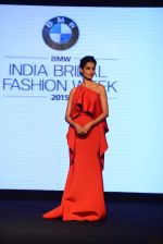 Model walks for bmw india bridal week preview in delhi on 28th May 2015 (1231)_55684ad8f38ca.JPG