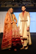 Model walks for bmw india bridal week preview in delhi on 28th May 2015 (1248)_55684aed0511c.JPG