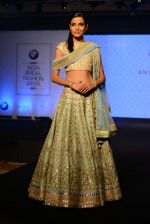 Model walks for bmw india bridal week preview in delhi on 28th May 2015 (877)_556849a844b1b.JPG