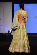 Model walks for bmw india bridal week preview in delhi on 28th May 2015 (886)_556849b029a3c.JPG