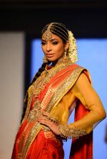 Model walks for bmw india bridal week preview in delhi on 28th May 2015 (918)_556849caa092f.JPG