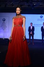 Model walks for bmw india bridal week preview in delhi on 28th May 2015 (946)_556849df301ac.JPG