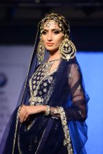 Model walks for bmw india bridal week preview in delhi on 28th May 2015 (981)_556849fc96518.JPG