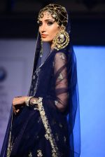 Model walks for bmw india bridal week preview in delhi on 28th May 2015 (983)_556849fe3c644.JPG