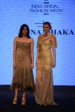 Model walks for bmw india bridal week preview in delhi on 28th May 2015 (997)_55684a0b3b34d.JPG