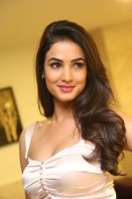 Sonal Chauhan Photoshoot on 1st june 2015 (13)_556d749f96c3f.jpg