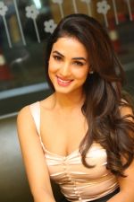 Sonal Chauhan Photoshoot on 1st june 2015 (47)_556d74c626592.jpg