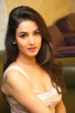 Sonal Chauhan Photoshoot on 1st june 2015 (48)_556d74c702eda.jpg