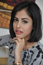 Priya Benarjee (17)_556ea9acd5ca1.jpg