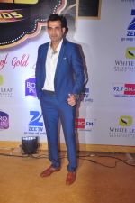  at Gold Awards in Filmistan on 4th June 2015 (63)_5571822c67817.JPG