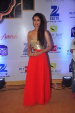  at Gold Awards in Filmistan on 4th June 2015 (74)_557182333a1fb.JPG
