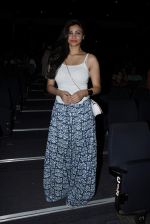 Daisy Shah at Rahul Saxena_s Dance Fest at St. Andrews on 6th June 2015 (41)_557423c5178a5.JPG