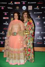 at IIFA 2015 Awards day 3 red carpet on 7th June 2015 (96)_55759ec4dfd86.JPG