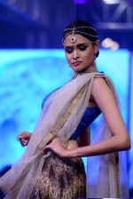 at Neeta Lulla and Whistling Woods school annual  fashion show AIYAAN 2015 in Bandra, Mumbai on 11th July 2015 (178)_55a25029ad4f6.JPG