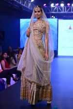 at Neeta Lulla and Whistling Woods school annual  fashion show AIYAAN 2015 in Bandra, Mumbai on 11th July 2015 (2)_55a24fc3c337f.JPG