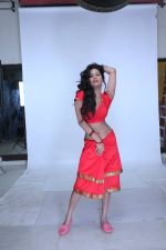 Poonam Pandey Photoshoot on 12th July 2015 (1)_55a3589293726.JPG