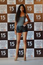 at Lakme Fashion Week Auditions in Palladium on 15th July 2015 (109)_55a77229e7fbd.JPG