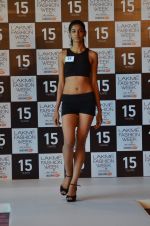 at Lakme Fashion Week Auditions in Palladium on 15th July 2015 (85)_55a7721a72a23.JPG