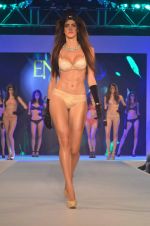 Model at Madhur_s Calendar Girls launch with Amante lingerie show in Four Seasons on 17th July 2015 (41)_55aa359524b0a.JPG