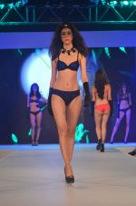 Model at Madhur_s Calendar Girls launch with Amante lingerie show in Four Seasons on 17th July 2015 (48)_55aa35994f911.JPG