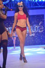 Model at Madhur_s Calendar Girls launch with Amante lingerie show in Four Seasons on 17th July 2015 (61)_55aa35a292b42.JPG