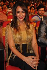 at TSR Tv9 national film awards on 18th July 2015 (288)_55acdd7fdba97.jpg