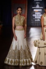  at  India Couture Week on 1st Aug 2015 (20)_55bce236a8b5c.jpg