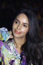 Mallika Sherawat at GV Films completion of 25 years and launch of their new website in J W Marriott on 1st Aug 2015 (16)_55bdfc5c78e35.JPG