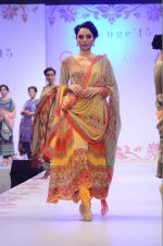 Model at Fashion show, Melange with collections by Payal Singhal on 1st Aug 2015 (137)_55bdfe4726c42.JPG